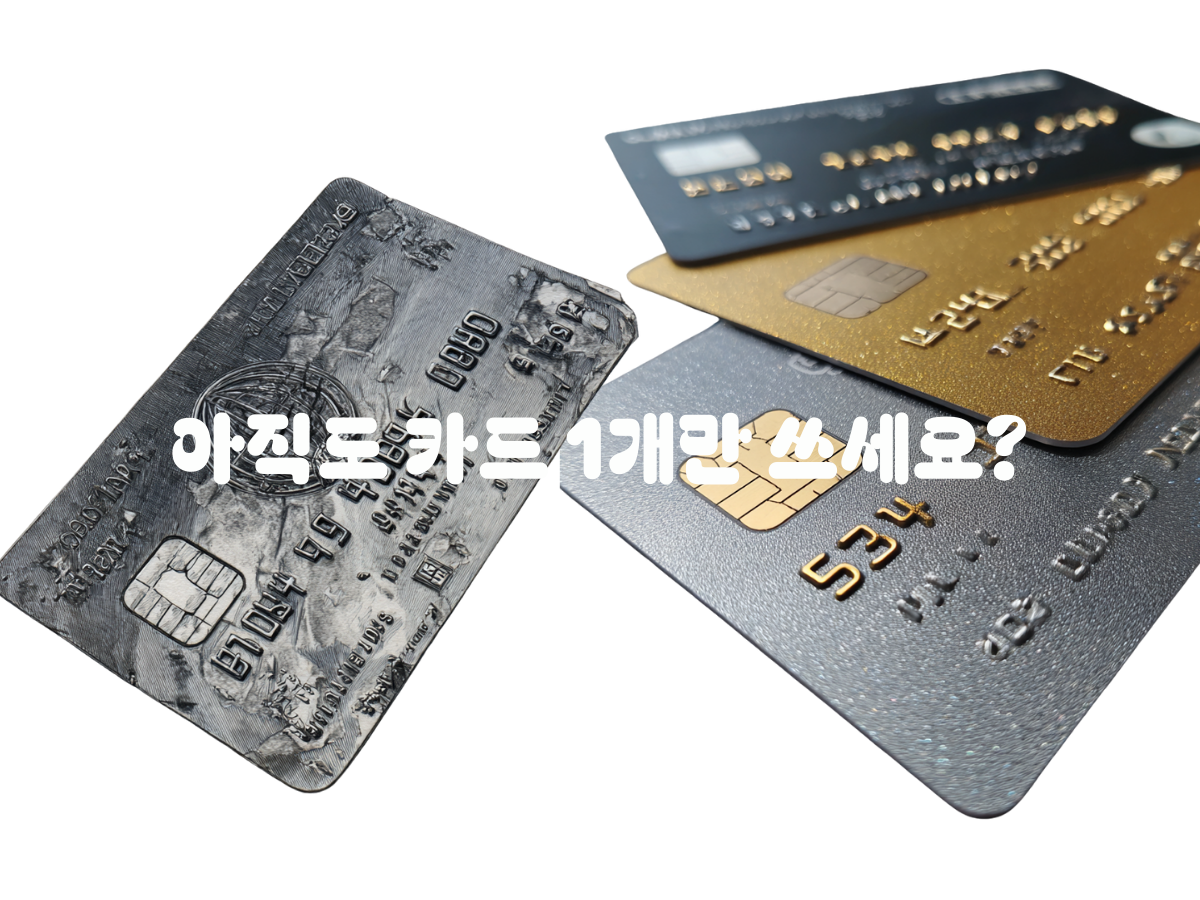 "아직도 카드 1개만 쓰세요?" 연 100만원 버는 신용카드 재테크의 모든 것
