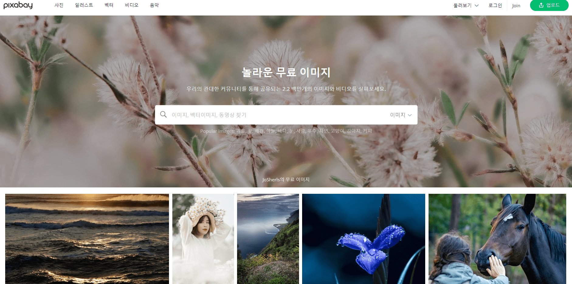 픽사베이 홈페이지 사진