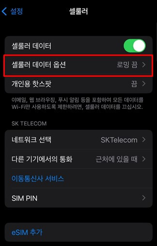 베트남 유심칩