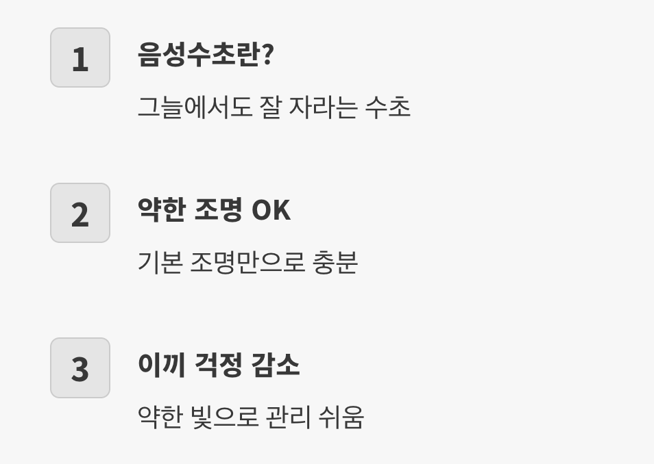 빛이 부족해도 괜찮아