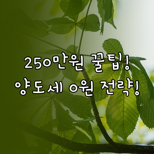 해외주식 양도소득세 250만원 기본공..