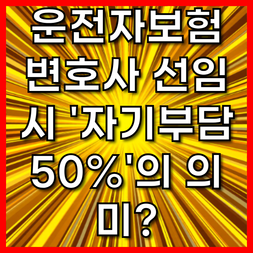 운전자보험 변호사 선임 시 '자기부담 50%'의 의미?