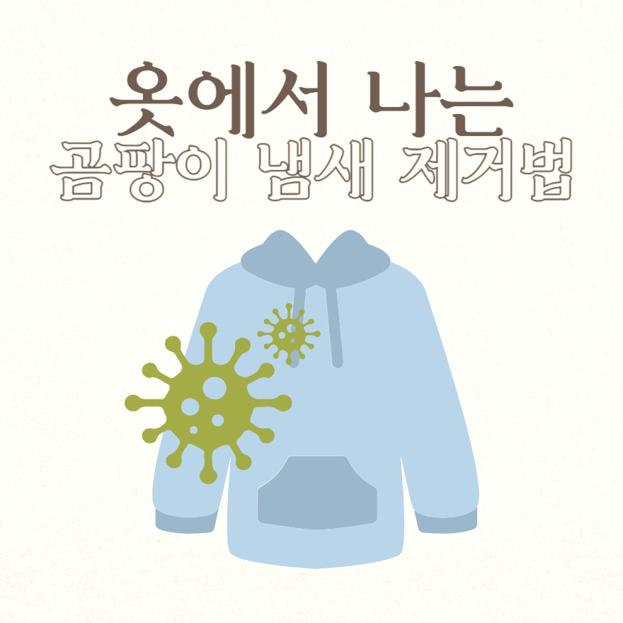 옷에서 나는 곰팡이 냄새 제거법