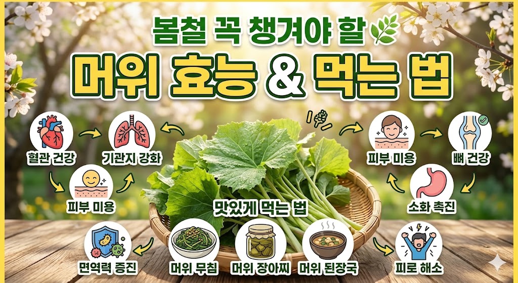 섬네일 문구 봄철 꼭 챙겨야 할 머위 효능 & 먹는 법
