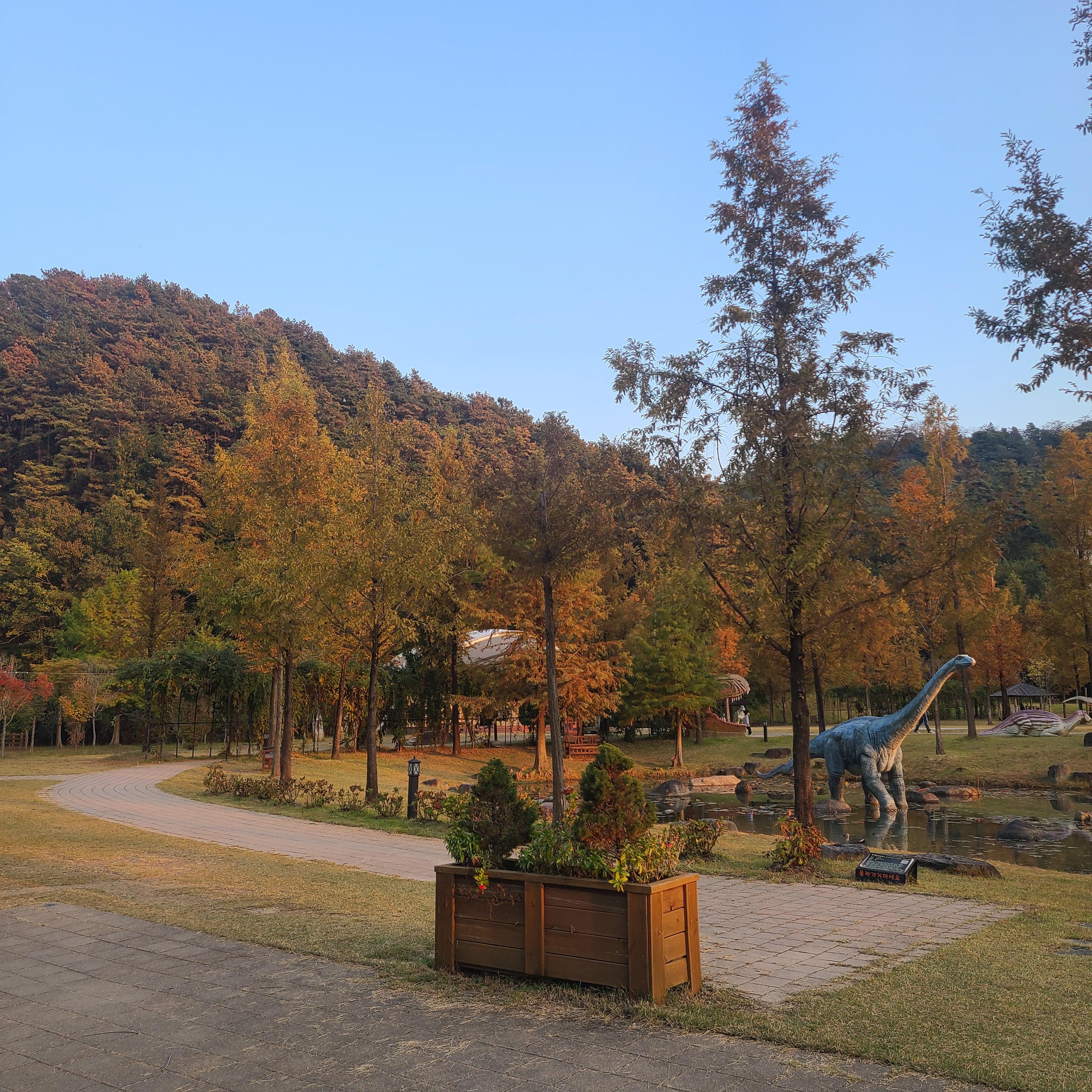 메타세콰이어 가로수길 옆 전경