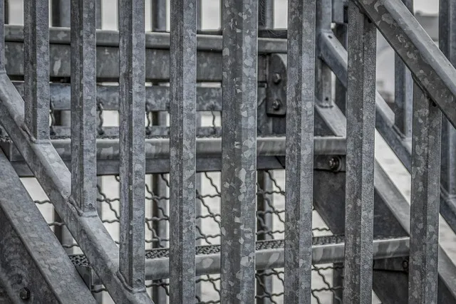 아연 효능과 부족 증상 복용법 부작용 음식 권장량 총정리_3