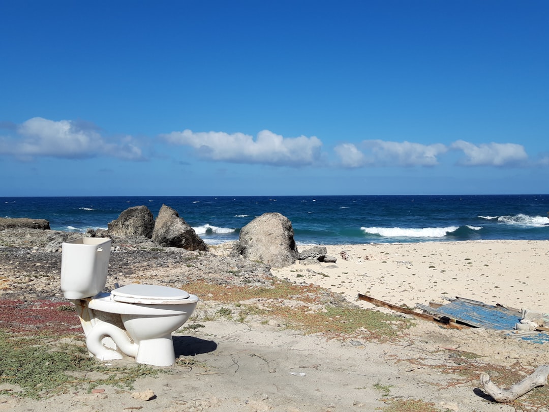 Toilet.