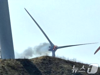 영덕 산불 피해보상 지역 화재 원인 사망자 실종자