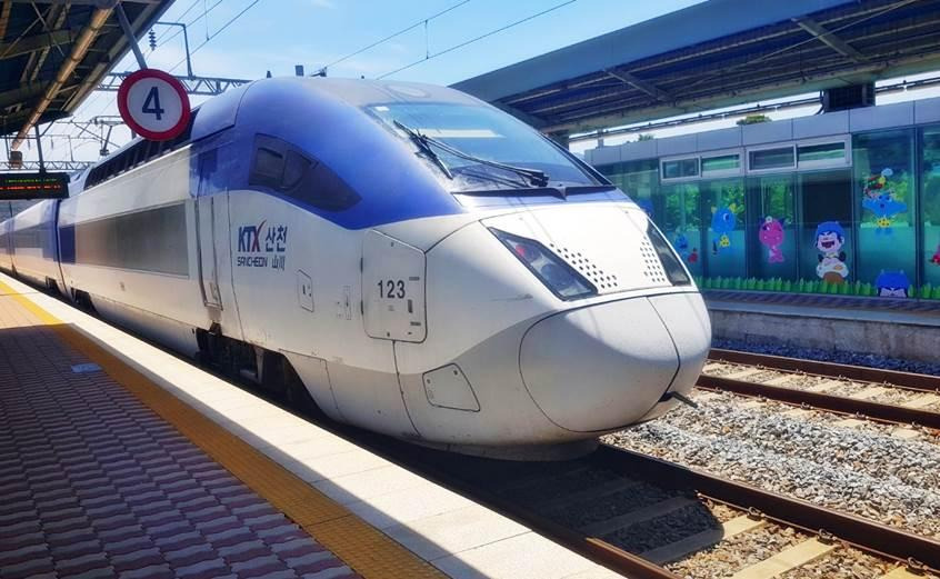 KTX 남해 통영 1박2일 가족 패키지 여행 후기 (장사도 카멜리아,독일마을)