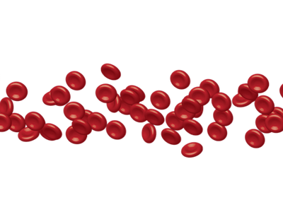 루테인 관련 사진5