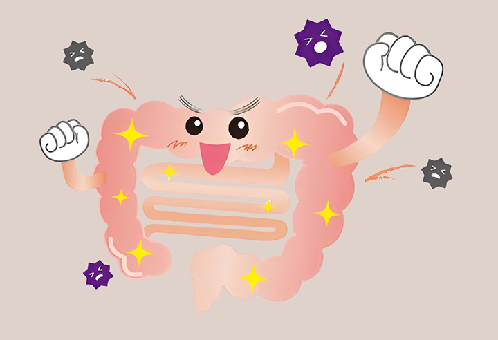 염증질환과-싸우는-비피더스B3-유산균