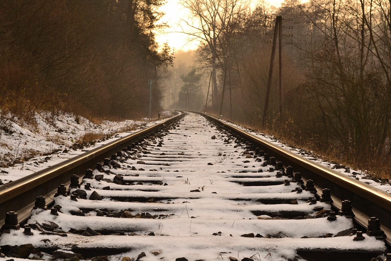 화담숲 모노레일 예약 방법