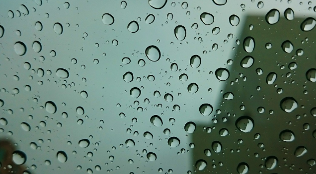 2025년 장마가 언제 시작할까요?