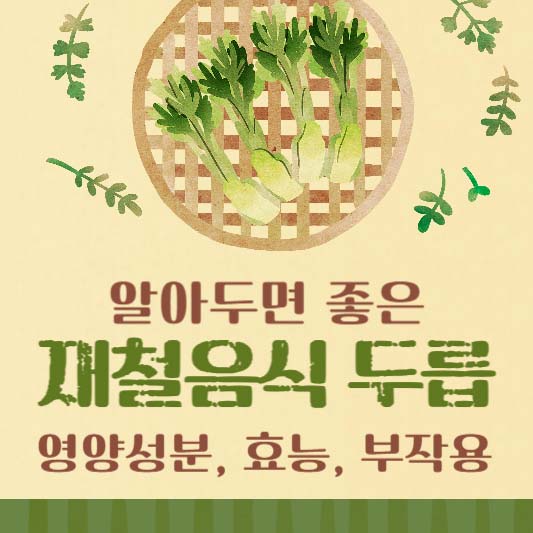 두릅 영양성분, 효능, 부작용