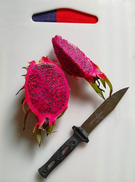 레드용과