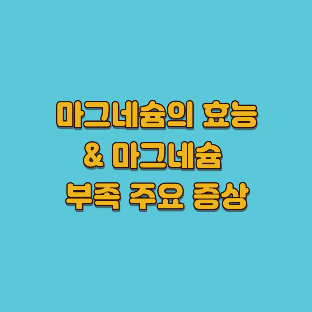 마그네슘효능