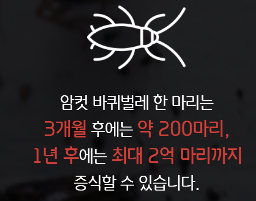 바퀴벌레 퇴치 방법
