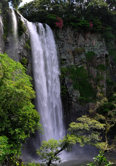 제주 성산항 우도 배시간표