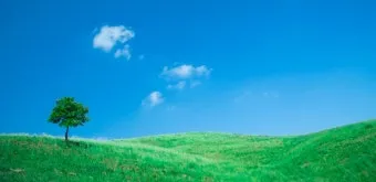 풍경 사진 잘 찍는 방법 꿀팁_16