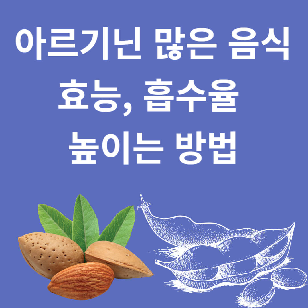 강력한 단백질 아르기닌 많은 음식과 효능