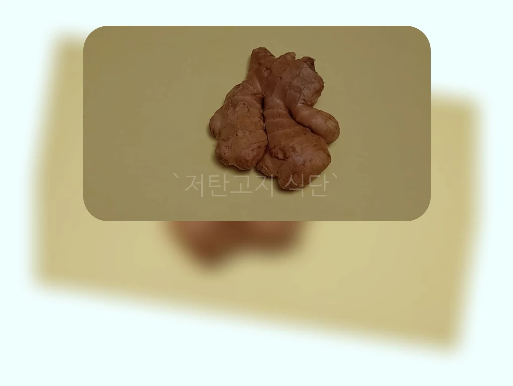 저탄고지 식단_2_subsection