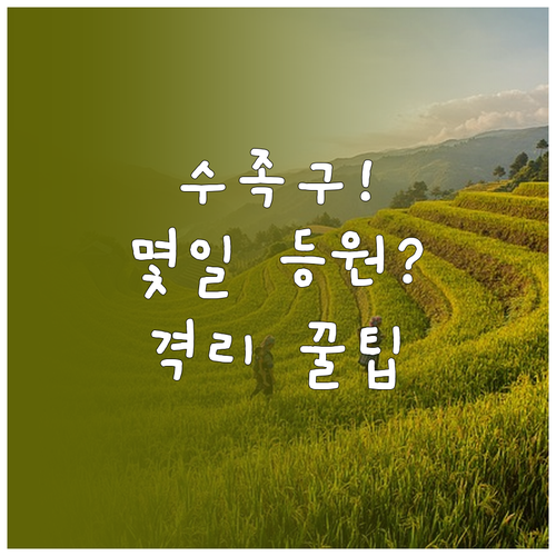 수족구 어린이집 등원 기준과 격리 기..