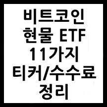 비트코인ETF_11가지_총정리_썸네일