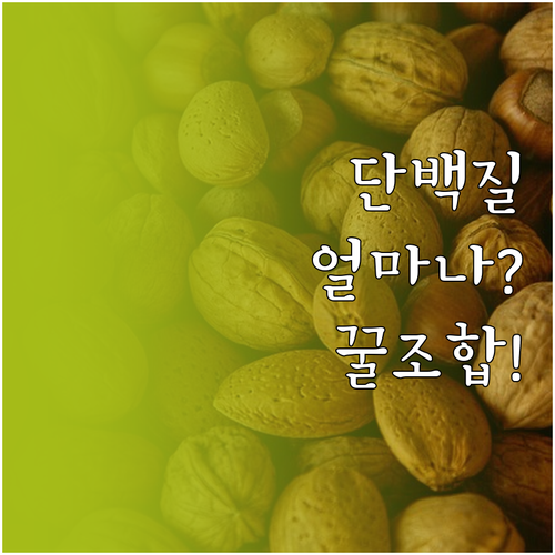 단백질 하루 권장량과 올바른 섭취 방..