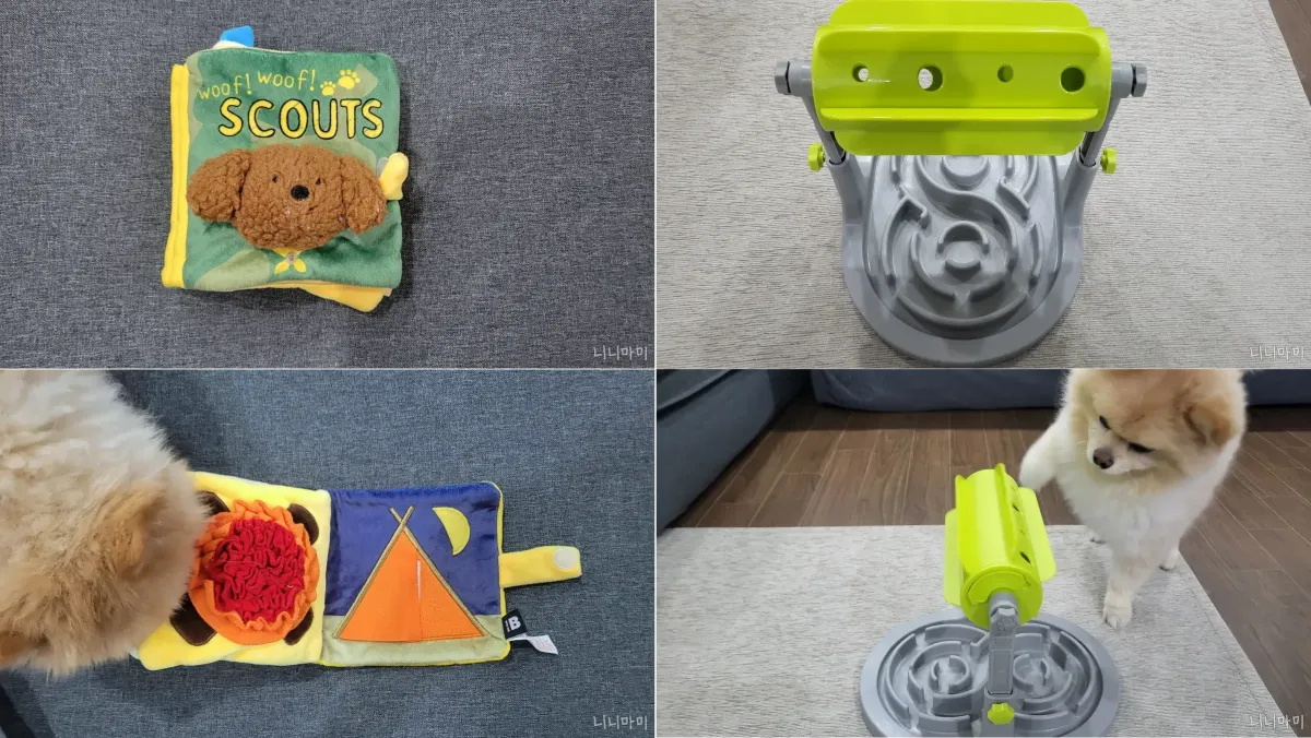 강아지노즈워크장난감