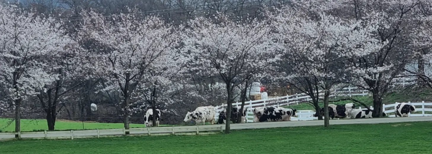 농도원-목장-입장료-예약-방법-목장-체험-프로그램