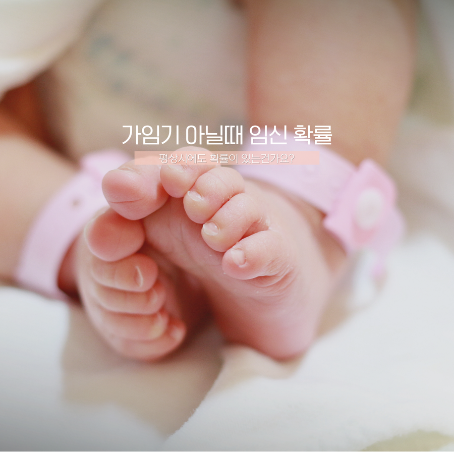 가임기 계산법