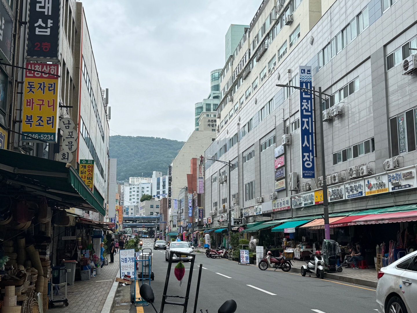 남포물회