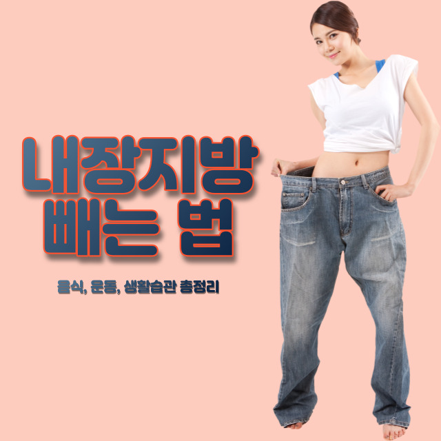 내장지방 빼는 법
