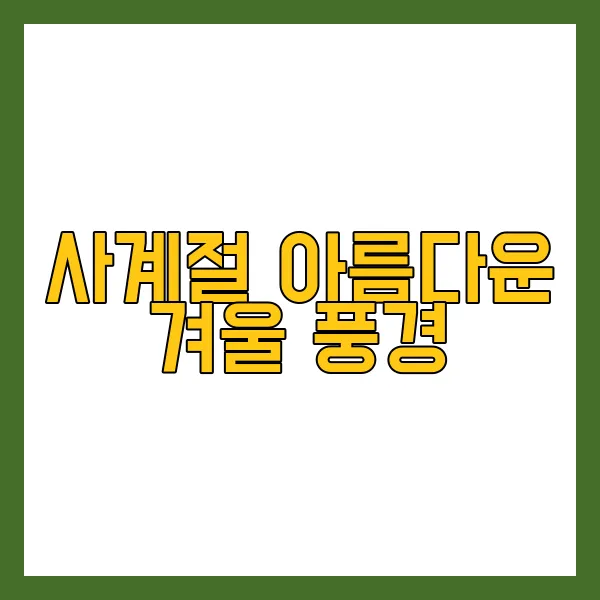 럭셔리