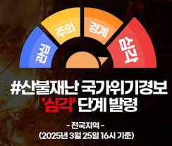 산불재난지원금 신청하기