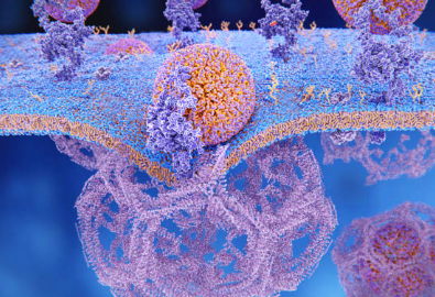 중성지방 낮추는 방법&amp;#44; 중성지방 정상수치