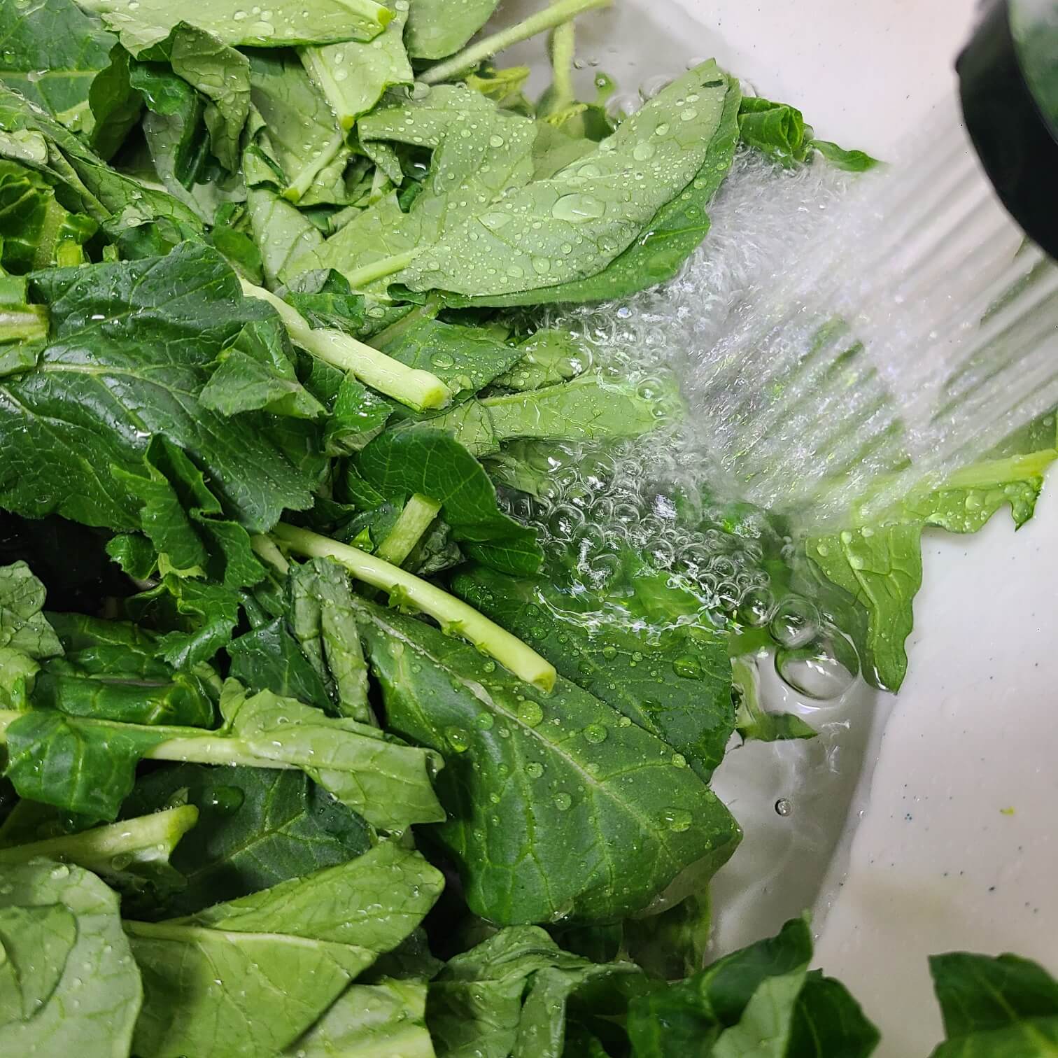 #봄열무물김치 #봄열무김치 #봄 열무김치담그는법 #봄 열무 파종시기 #봄 열무 심는 시기 #봄 열무김치 맛있게 담그기 #봄 열무김치 #봄 열무 재배 #봄 열무김치 황금레시피 #봄 열무 얼갈이김치 #봄김치얼갈이 열무김치 #열무김치 열무물김치 봄김치 #봄여름제철 열무얼갈이김치 담그는방법