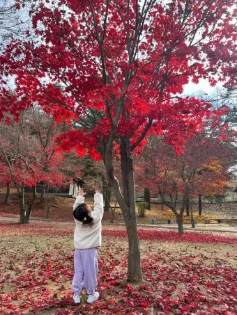 단풍구경 전국 명산 50대 이상 안전한 등산로 추천_22