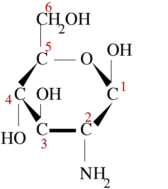 글루코사민-정의