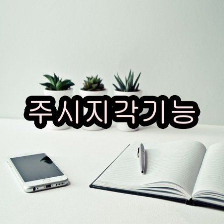 아이폰 주시지각기능