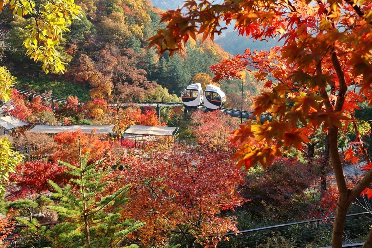 단풍명소 화담숲 온라인 예약 입장료