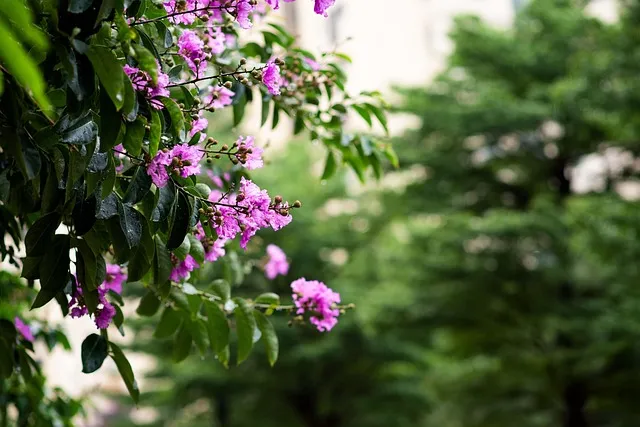 패혈증이란 무엇인지 원인 증상 치료 예방법_7