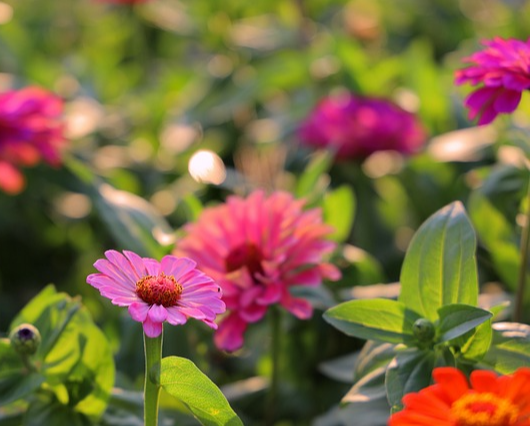 안동시 2026년 동아시아 문화도시 선정 07