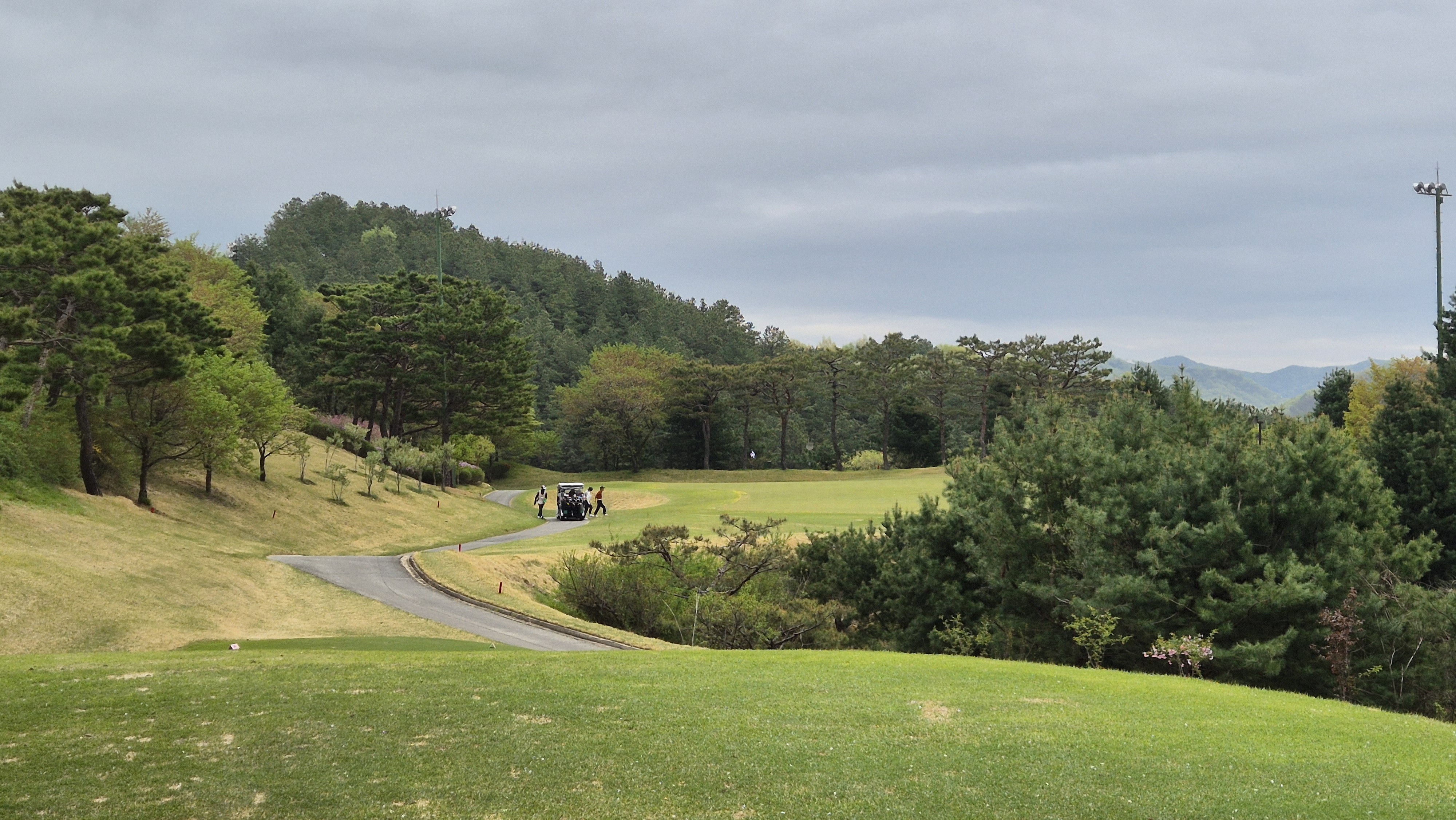 시그너스cc 코튼-라미 코스 사진 및 공략 정보
