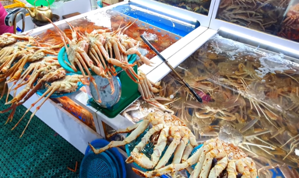 강릉 여행코스 추천