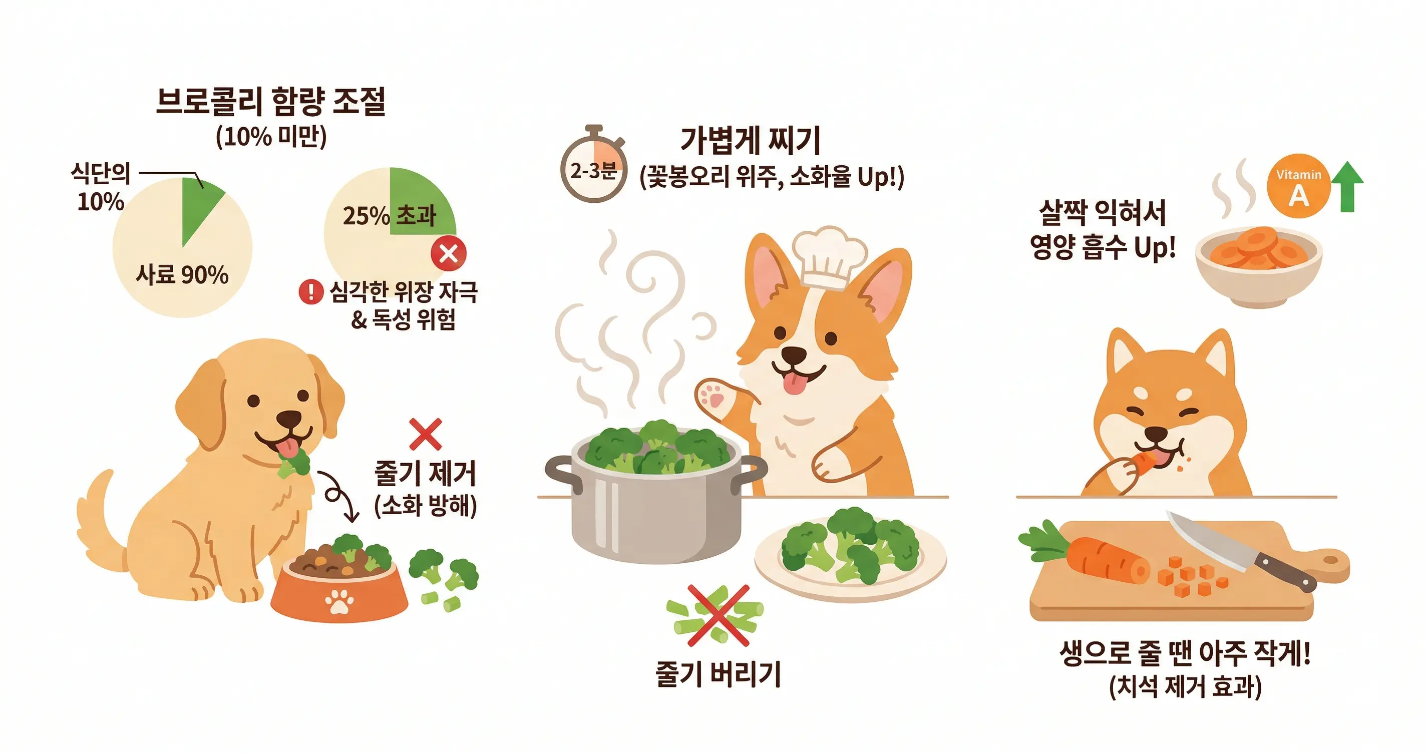 강아지 브로콜리 찌기 및 당근 손질법