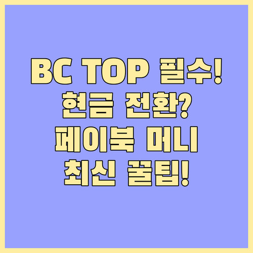 BC 바로카드 TOP 포인트와 페이북..