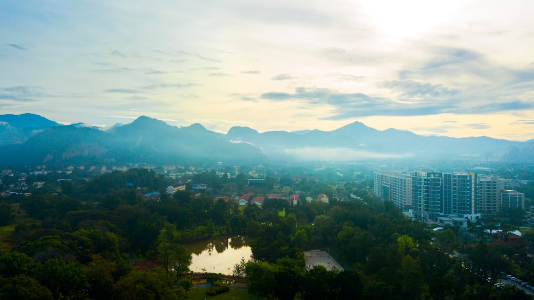 '돌싱글즈7'의 중요한 명사는 Singles입니다.