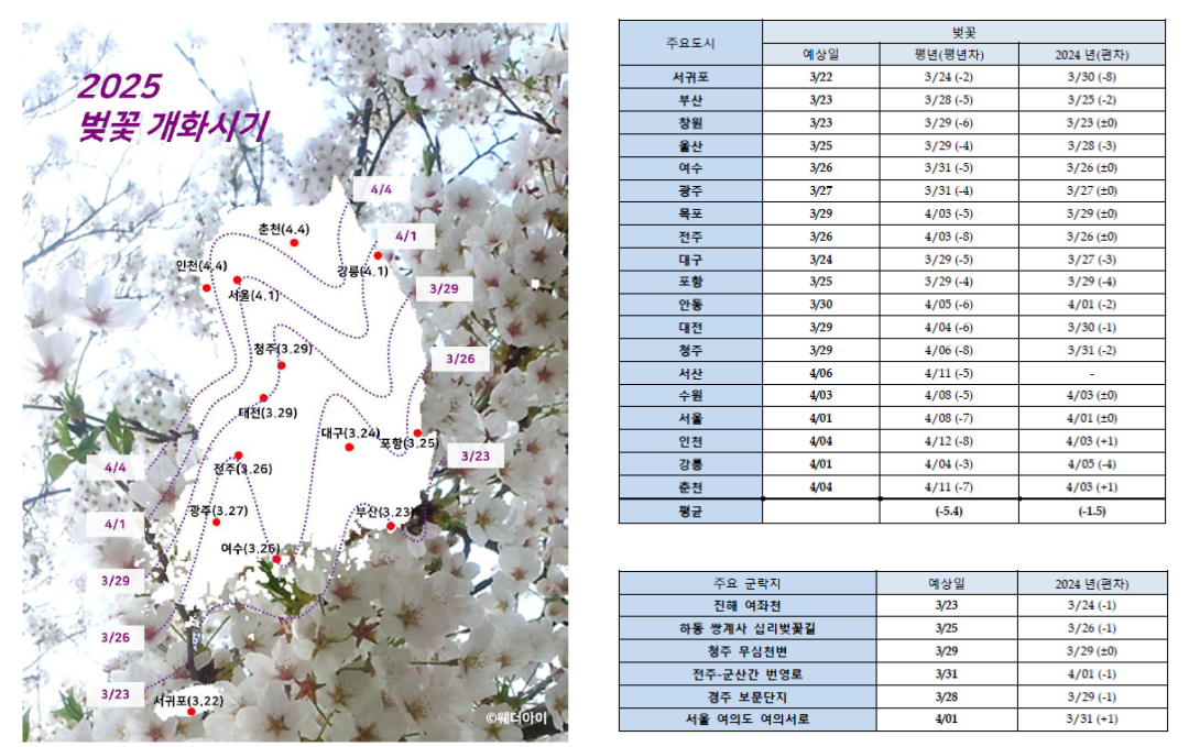 2025년 서울 벚꽃 명소 추천 (여의도 제외)
