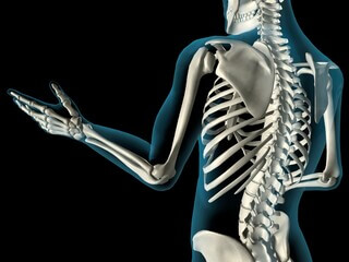 마가목 효능은 우리가 생각하는 것보다 효능이 매우 많습니다.